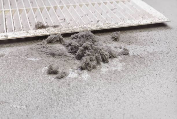 Best Commercial Air Duct Cleaning  in Arlington, WA