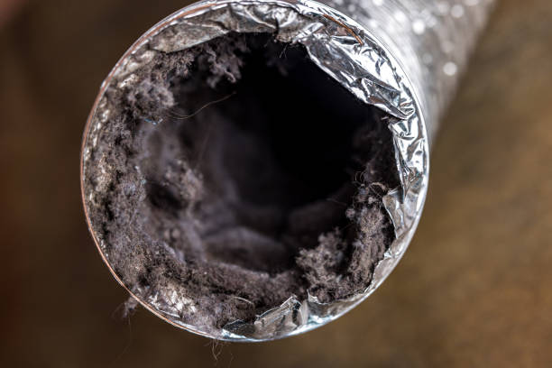 Best Local Air Duct Cleaning Services  in Arlington, WA