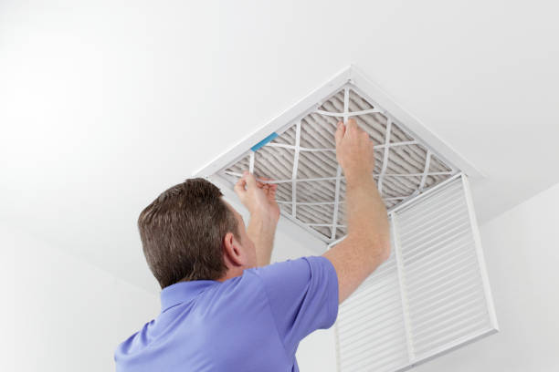 Best Affordable Duct Cleaning Services  in Arlington, WA